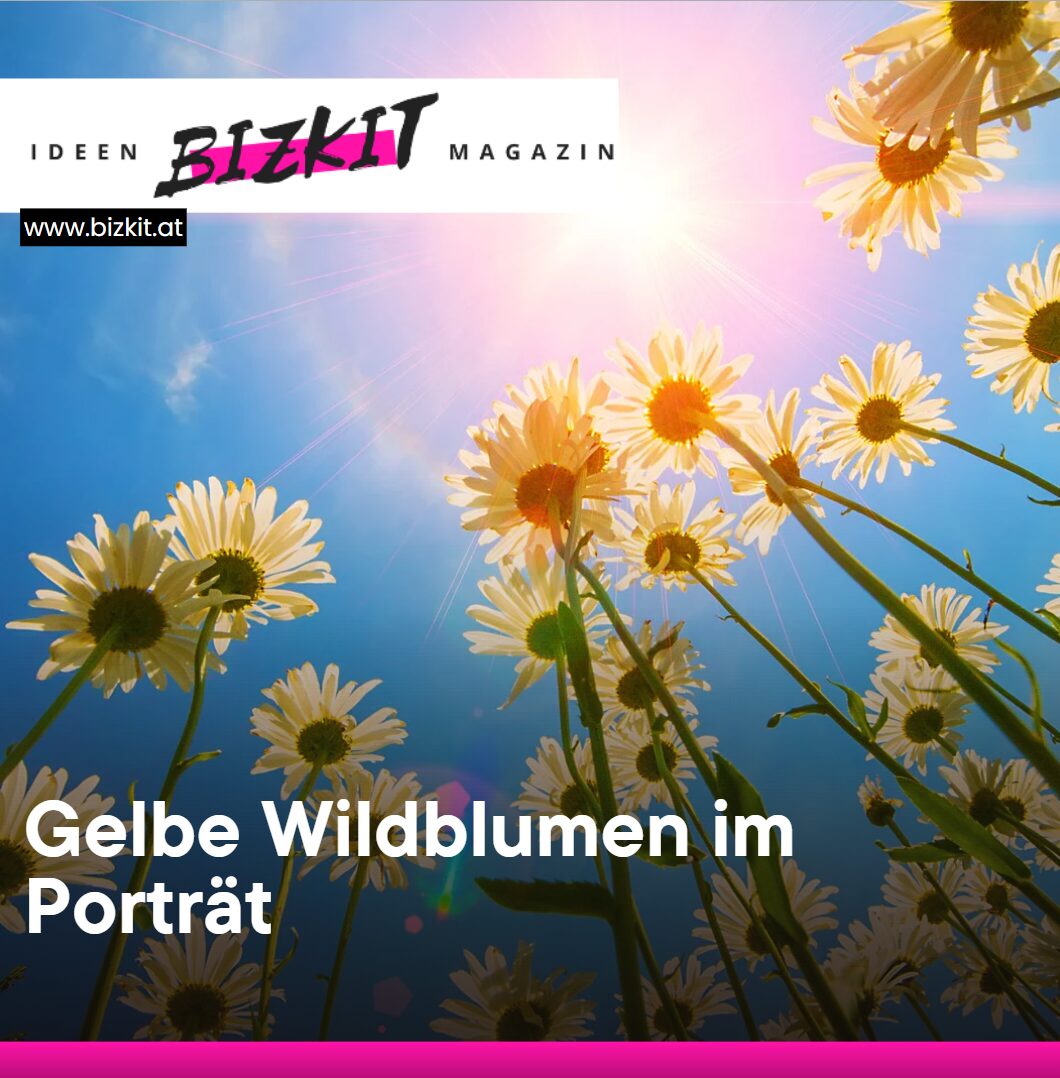 Gelbe Wildblumen im Porträt