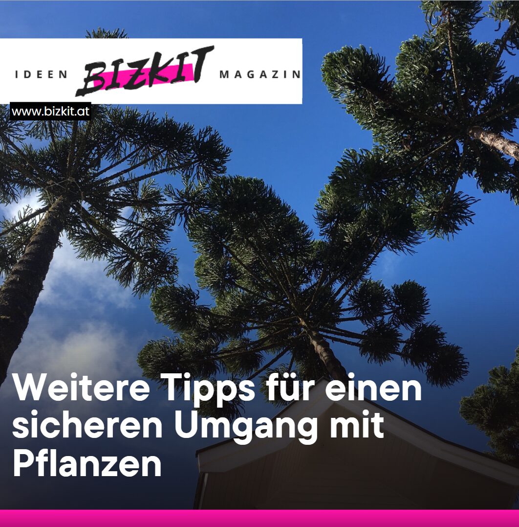 Weitere Tipps für einen sicheren Umgang mit Pflanzen