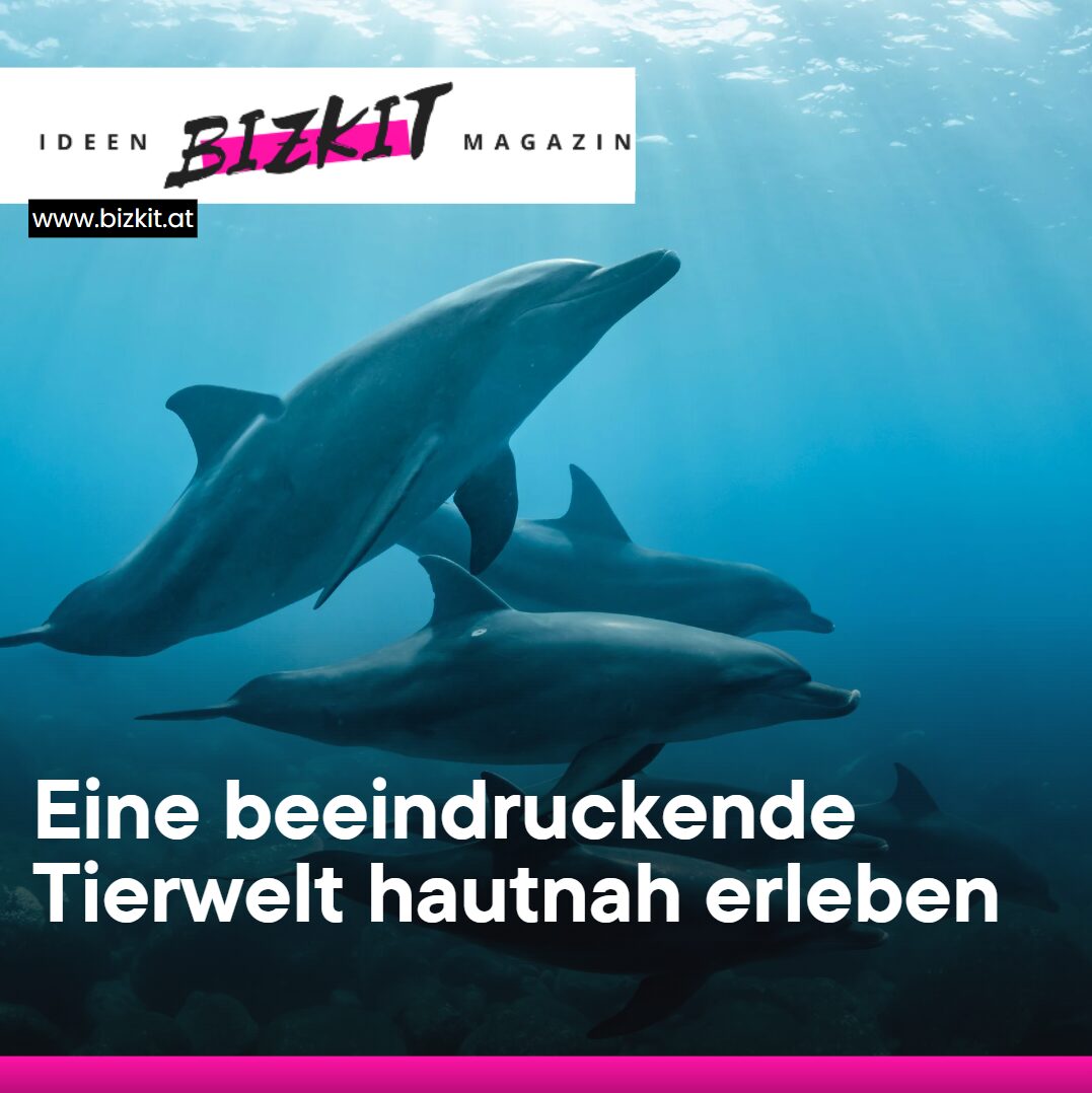 tierwelt canada