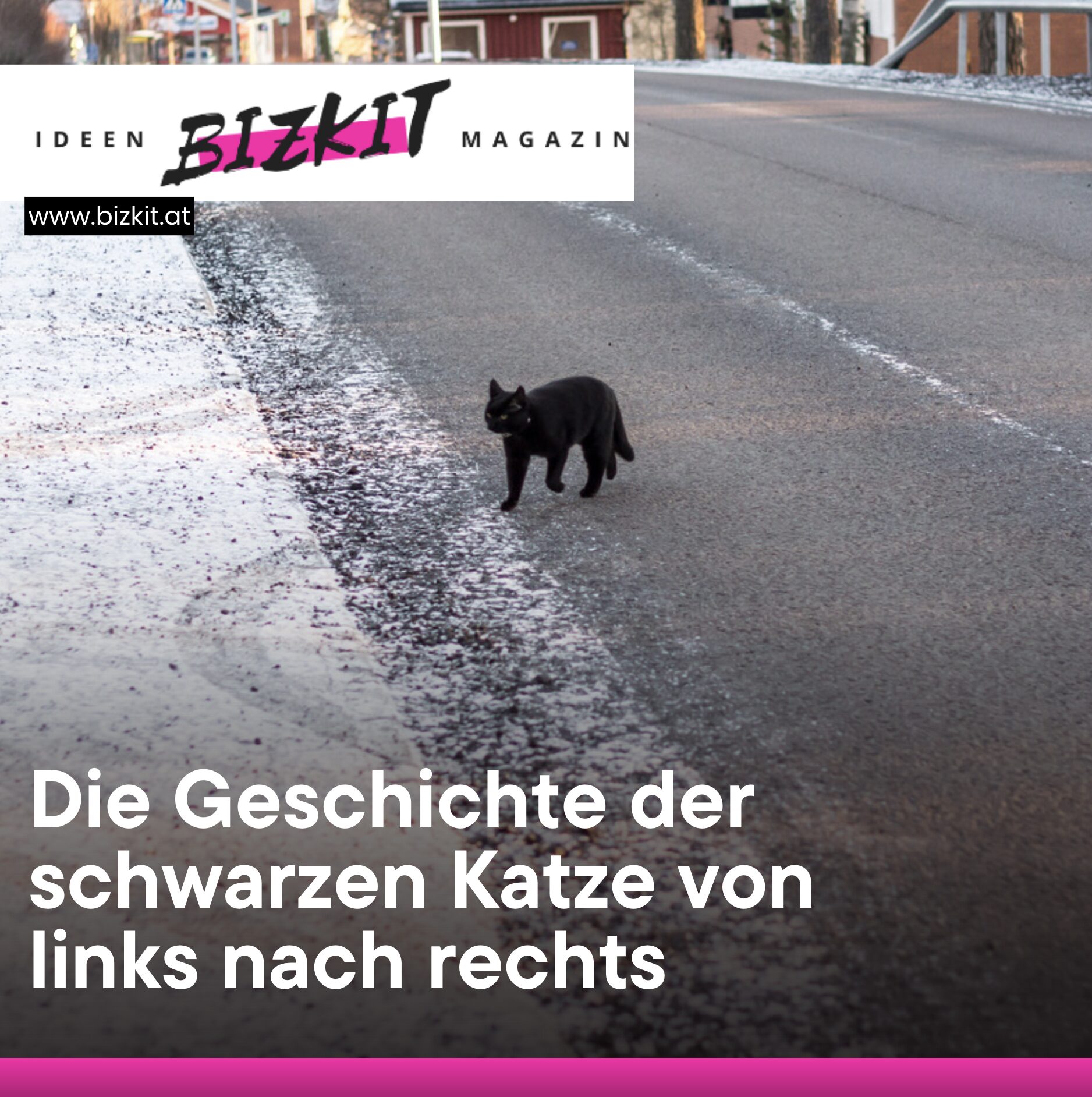 Die Geschichte der schwarzen Katze von links nach rechts Die Geschichte der schwarzen Katze von links nach rechts