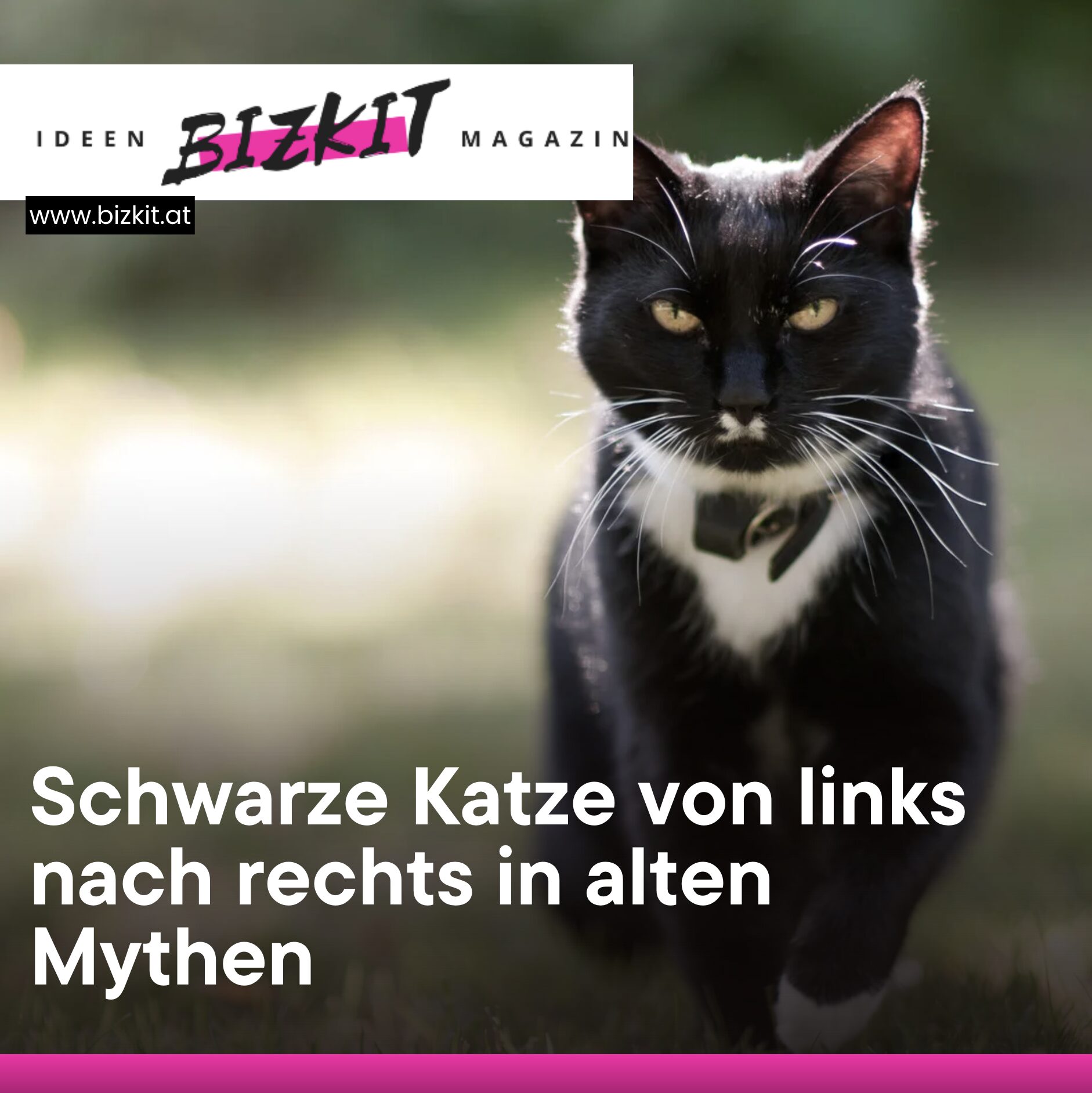 Schwarze Katze von links nach rechts in alten Mythen Schwarze Katze von links nach rechts in alten Mythen