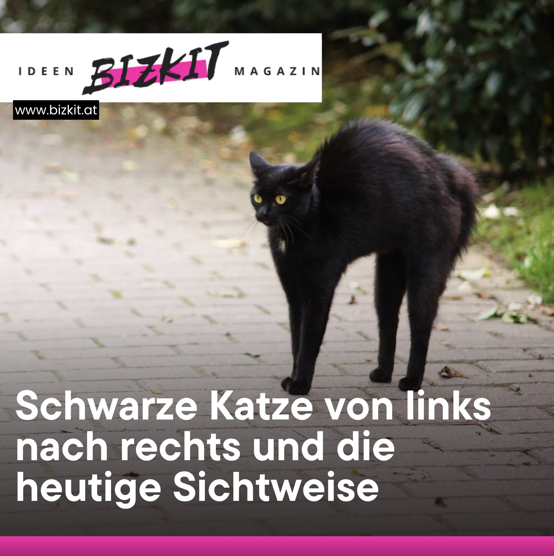 Schwarze Katze von links nach rechts und die heutige Sichtweise Schwarze Katze von links nach rechts und die heutige Sichtweise