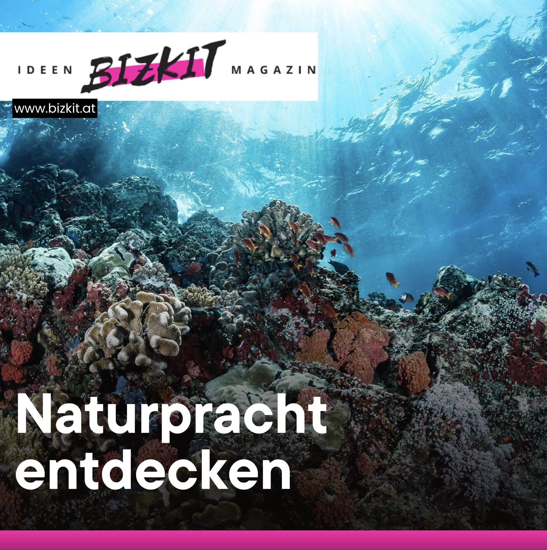 Naturpracht entdecken