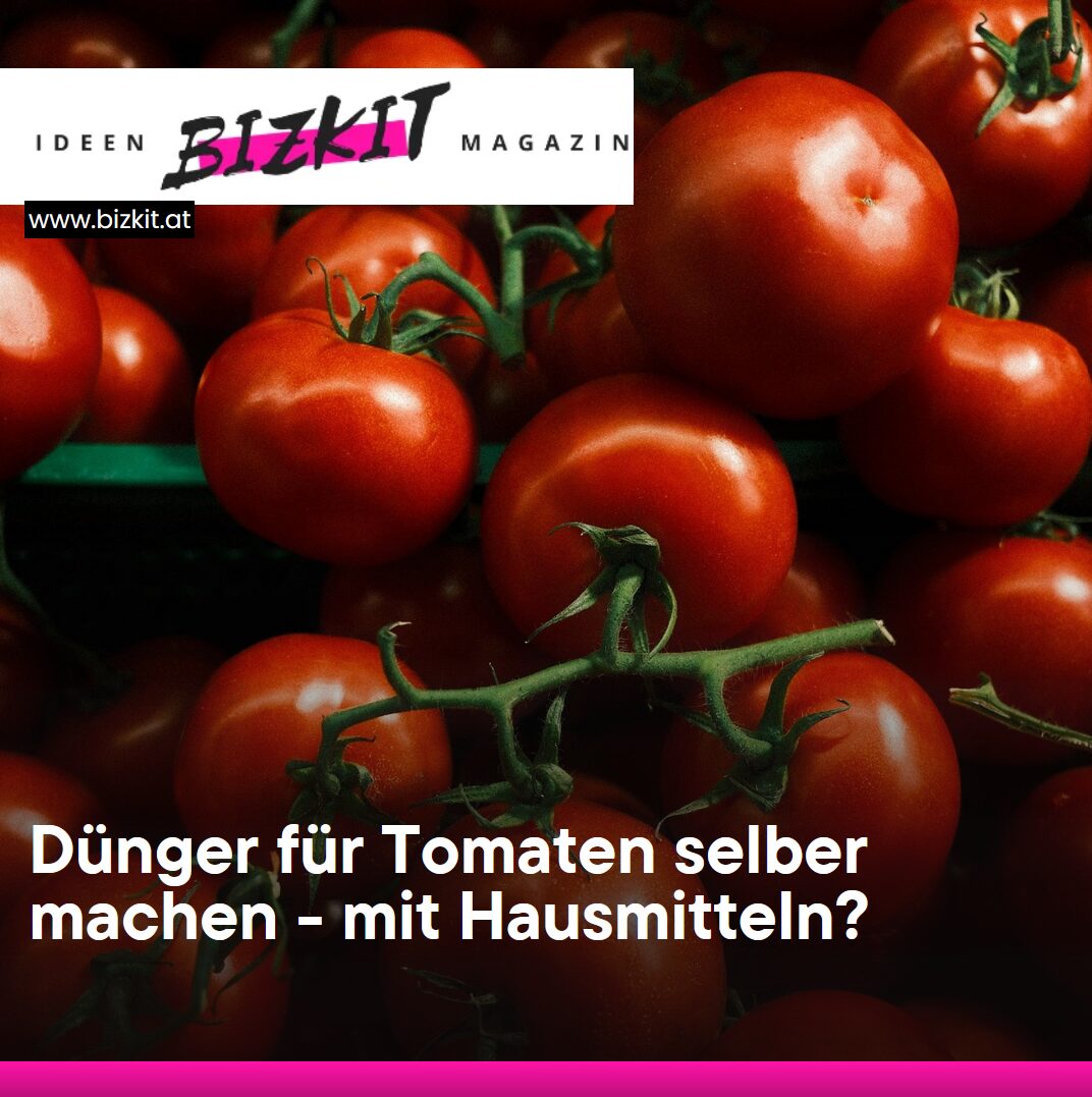 Dünger für Tomaten selber machen - mit Hausmitteln?