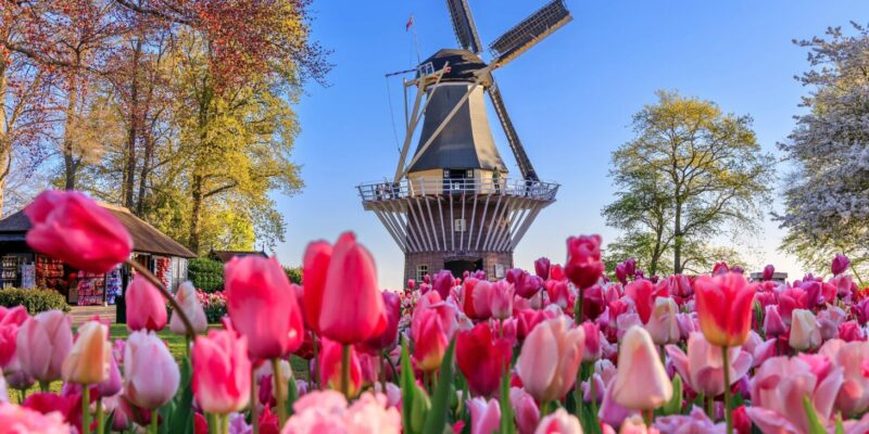 Auswandern Holland - Vor- und Nachteile: Traumziel oder Herausforderung?