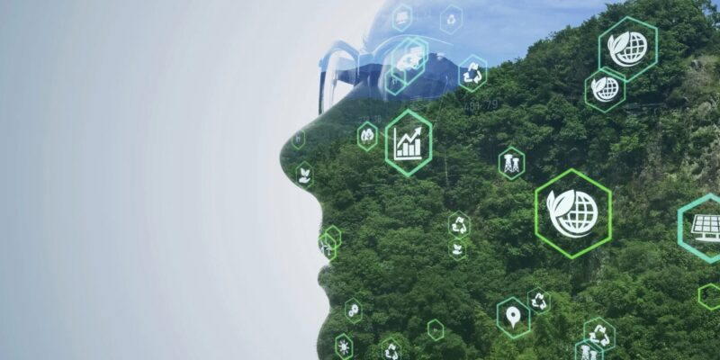 Nachhaltigkeit im Alltag