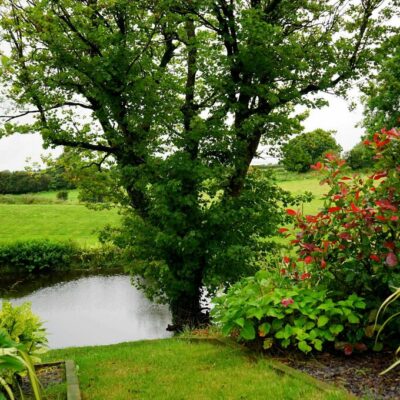 garten gestalten mit wenig geld