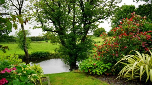 garten gestalten mit wenig geld