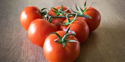 dünger für tomaten selber machen