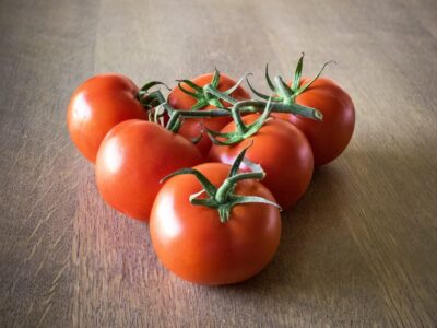 dünger für tomaten selber machen