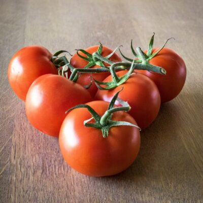 dünger für tomaten selber machen