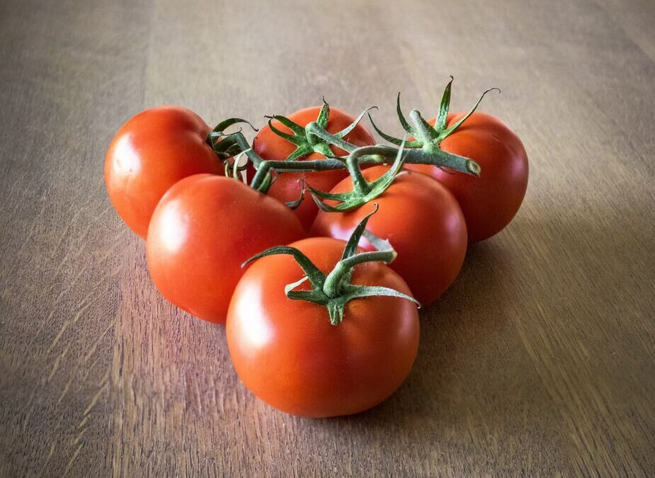 dünger für tomaten selber machen